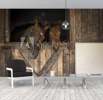 Picture of Horses in a stable looking out